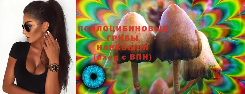 Псилоцибиновые грибы Magic Shrooms Владимир